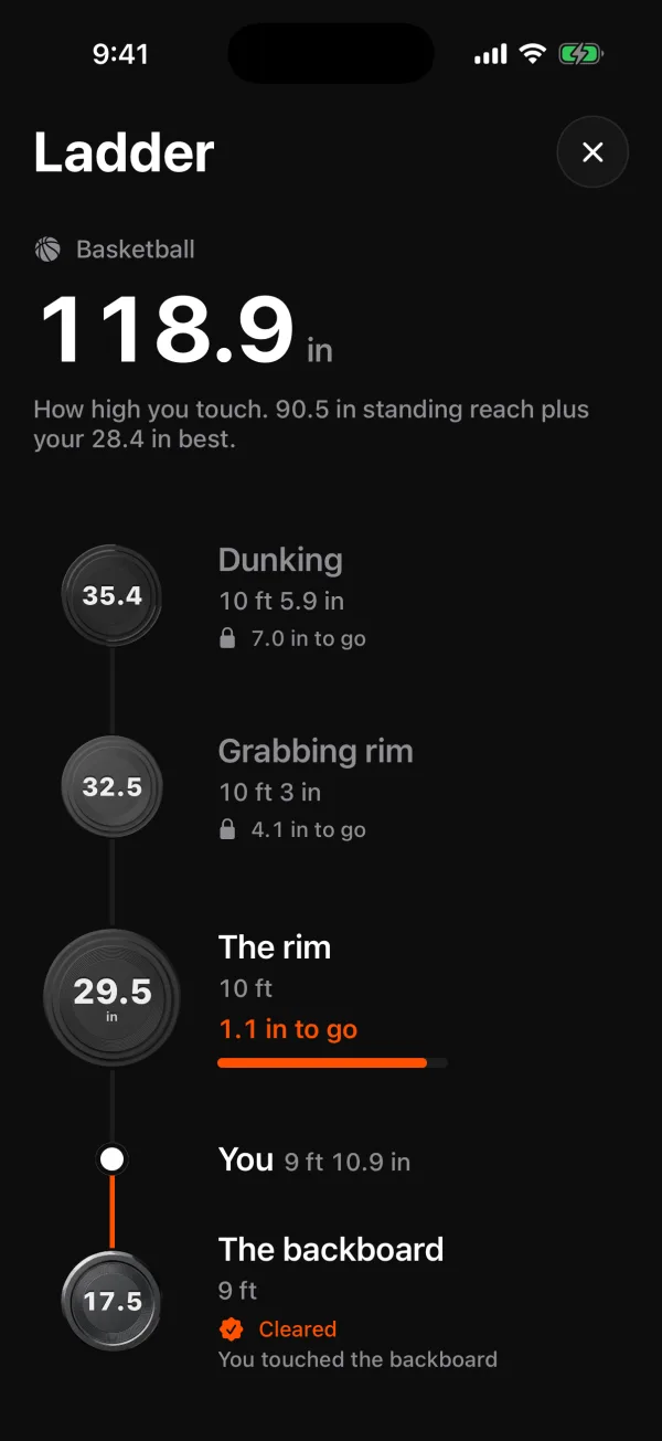 Ladder: 118.9 in touch, the rim 1.1 in to go, dunking 7.0 in to go
